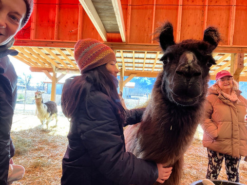 The Llama Sanctuary-Tappen必去景点