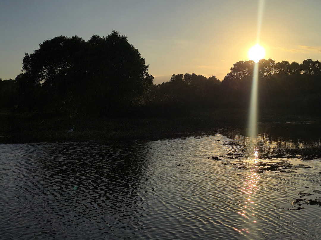 Kalametiya Bird Watching & Ecotourism-Kalametiya必去景点