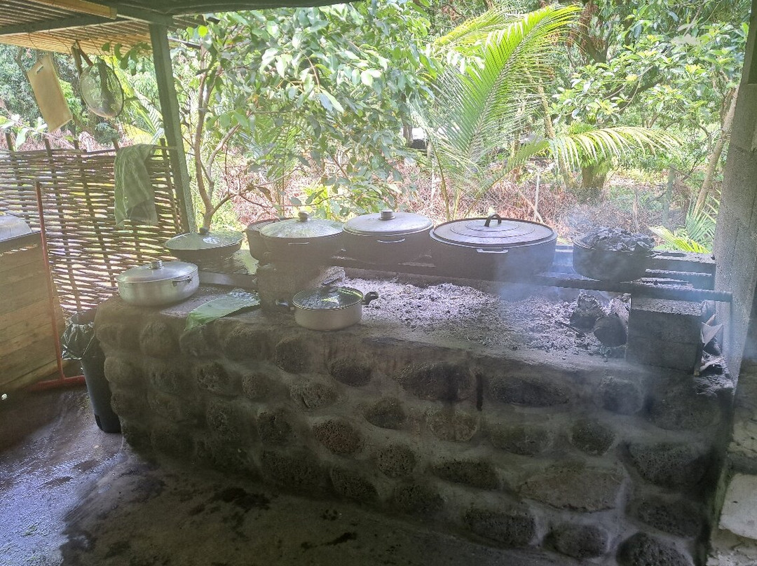 Crazy Adventures Réunion-Mont-Vert les Hauts必去景点