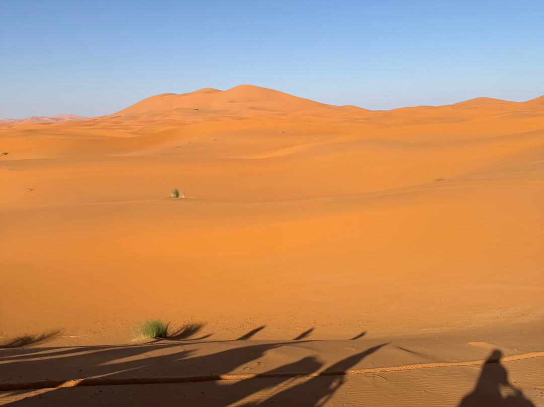 Travel Link Morocco-舍夫沙万必去景点