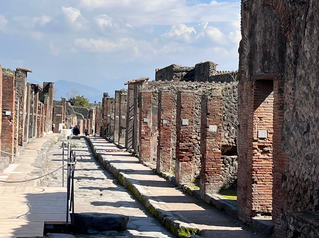 Campania Guide - Private Day Tours-那不勒斯必去景点