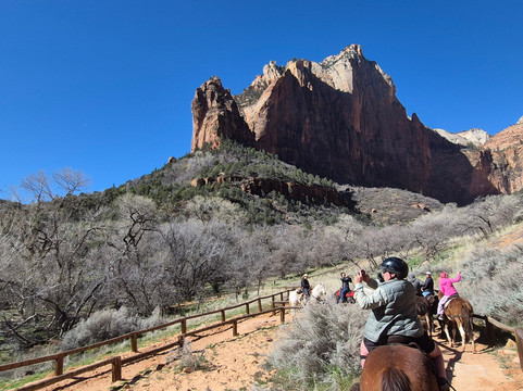 Canyon Trail Rides-锡安国家公园必去景点