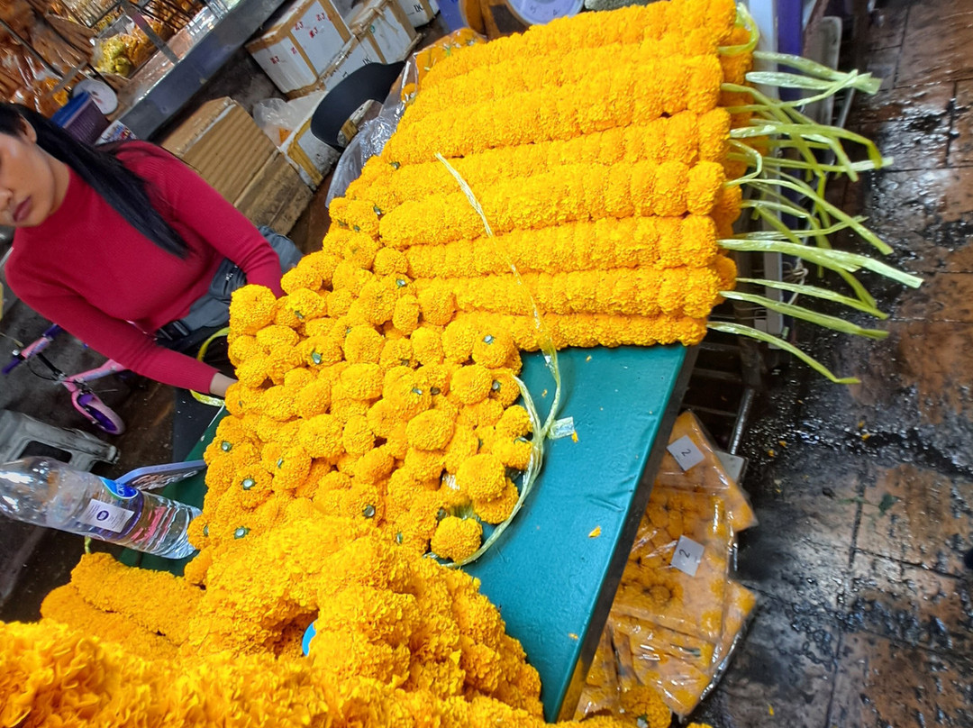 5 Senses Tours-班加罗尔必去景点