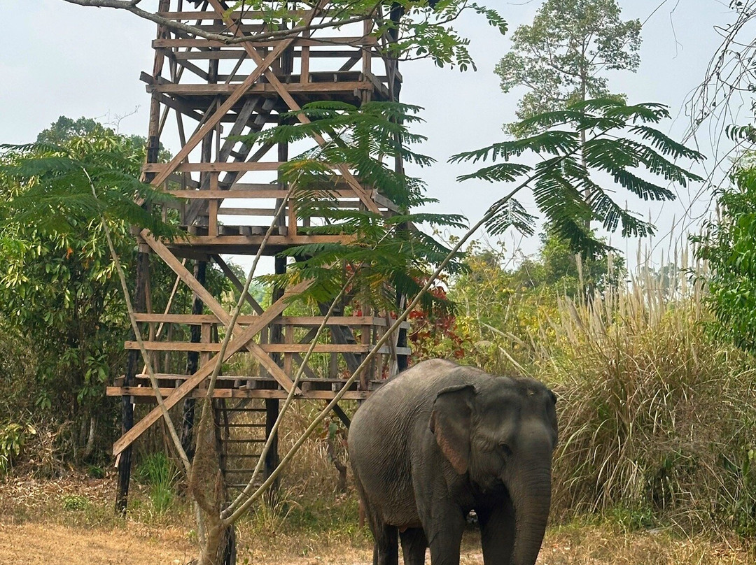 Cambodia Wildlife Sanctuary-暹粒必去景点