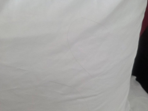 塔拉哈西州议会大厦希尔顿惠庭酒店主图