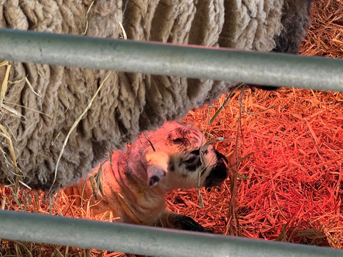 Wroxham Barns-Hoveton必去景点