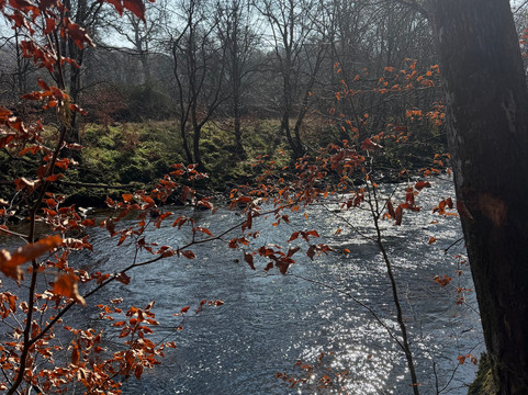 Allen Banks and Staward Gorge-Bardon Mill必去景点