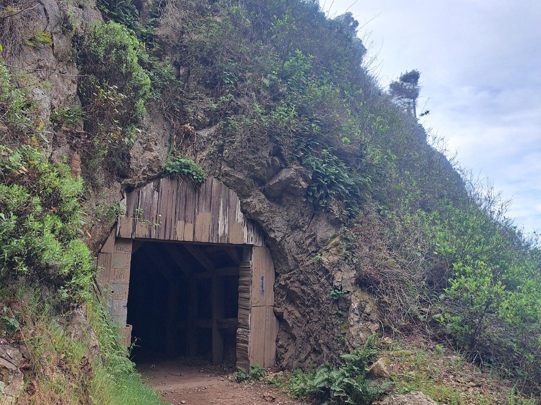 Partington Cove-大苏尔必去景点