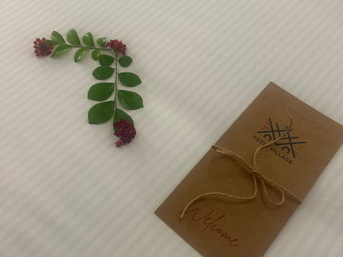 Vedic Village Retreat Alleppey主图