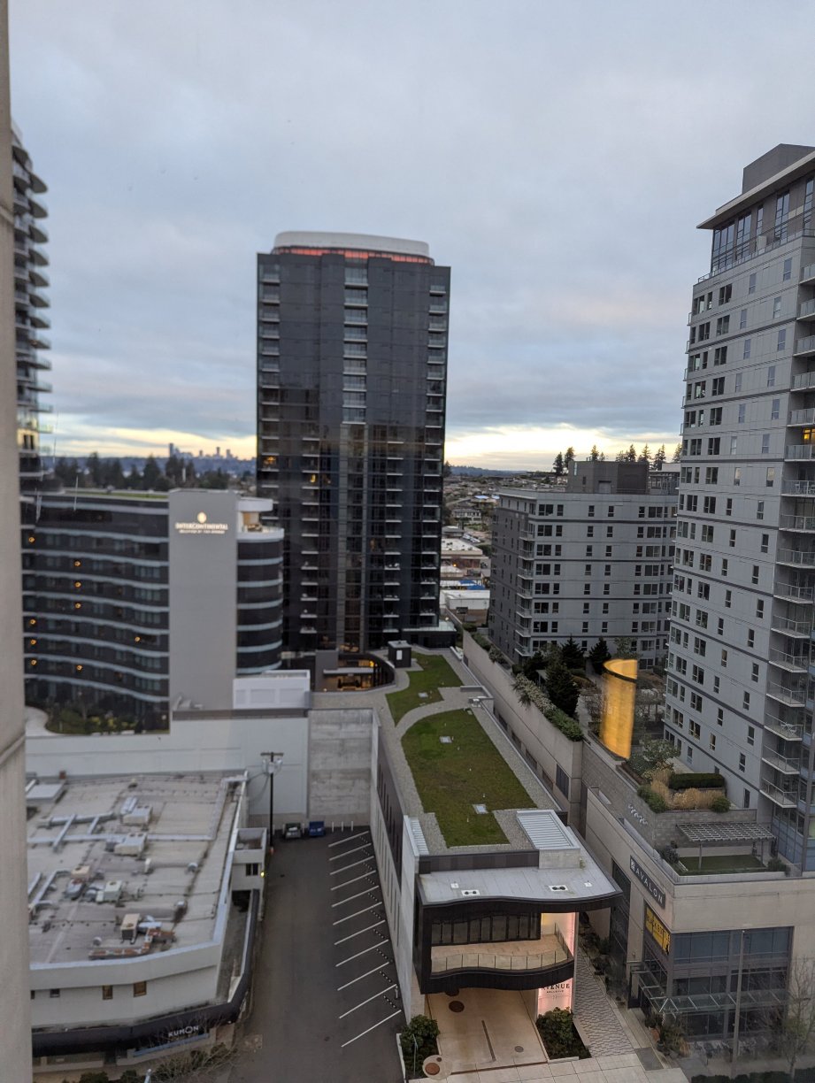 贝尔维尤凯悦酒店-酒店景观