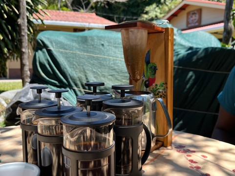 Café Monteverde Coffee Tour-圣埃伦娜必去景点