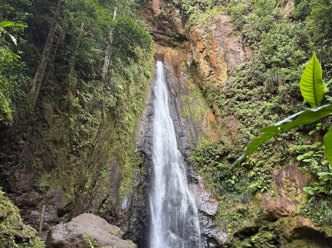 Syndicate Falls-Portsmouth必去景点