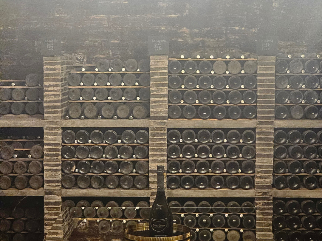 Juvé & Camps-桑特萨杜尔尼达诺亚必去景点