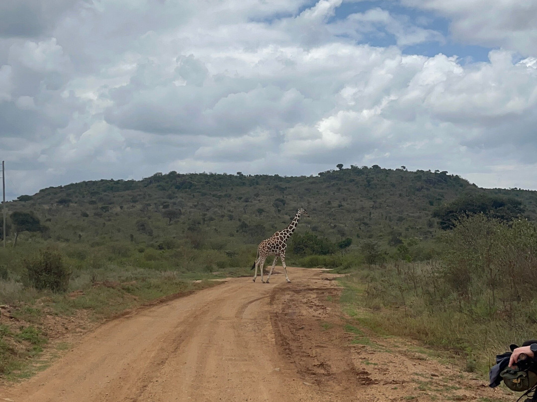 Baiskeli Adventures-内罗毕必去景点