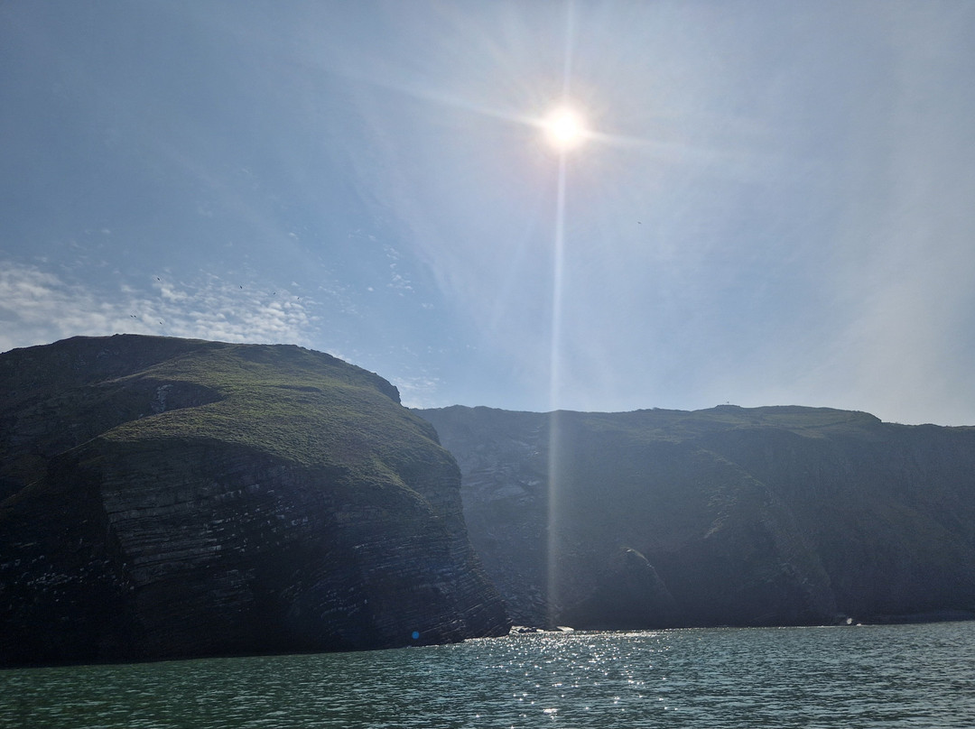 Dolphin Spotting Boat Trips (by New Quay Boat Trips)-纽基必去景点