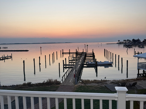 "怀尔德蒂尔曼岛"主图