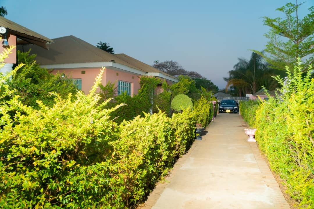 Homely Lodge And Apartments
