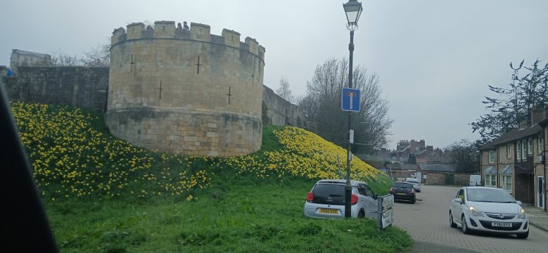 科尔顿哈格斯农场民宿-官方