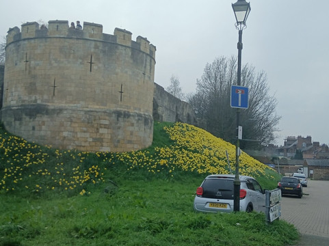 科尔顿哈格斯农场民宿主图