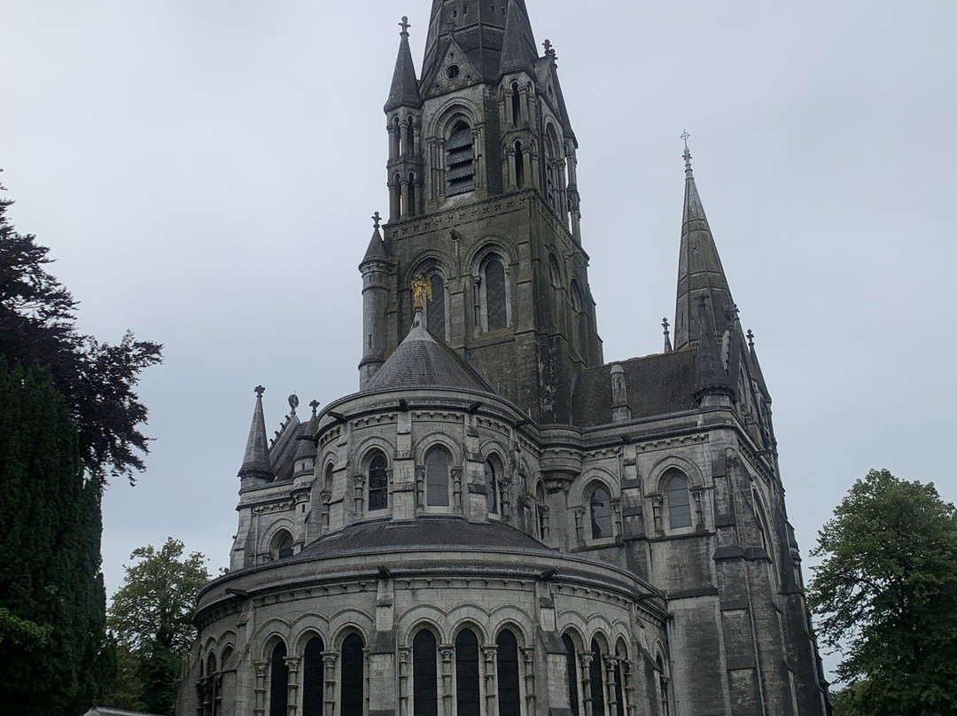 St Fin Barre's Cathedral-科克必去景点