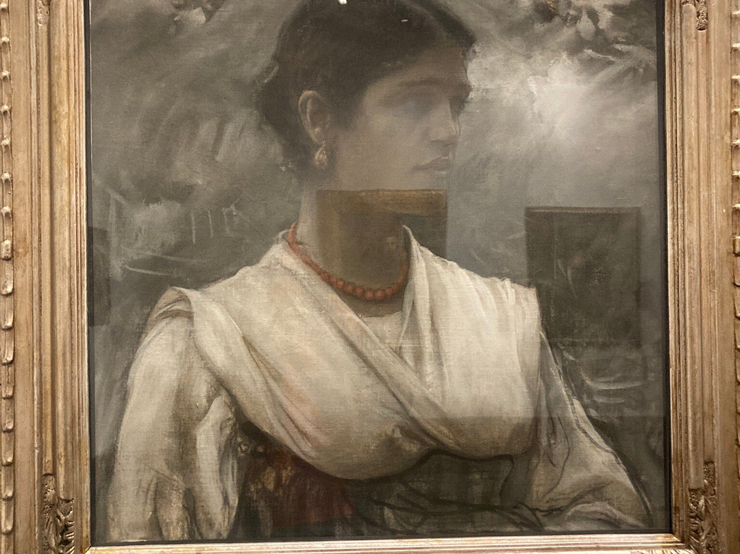 Galleria d'Arte Moderna Giannoni-诺瓦拉必去景点