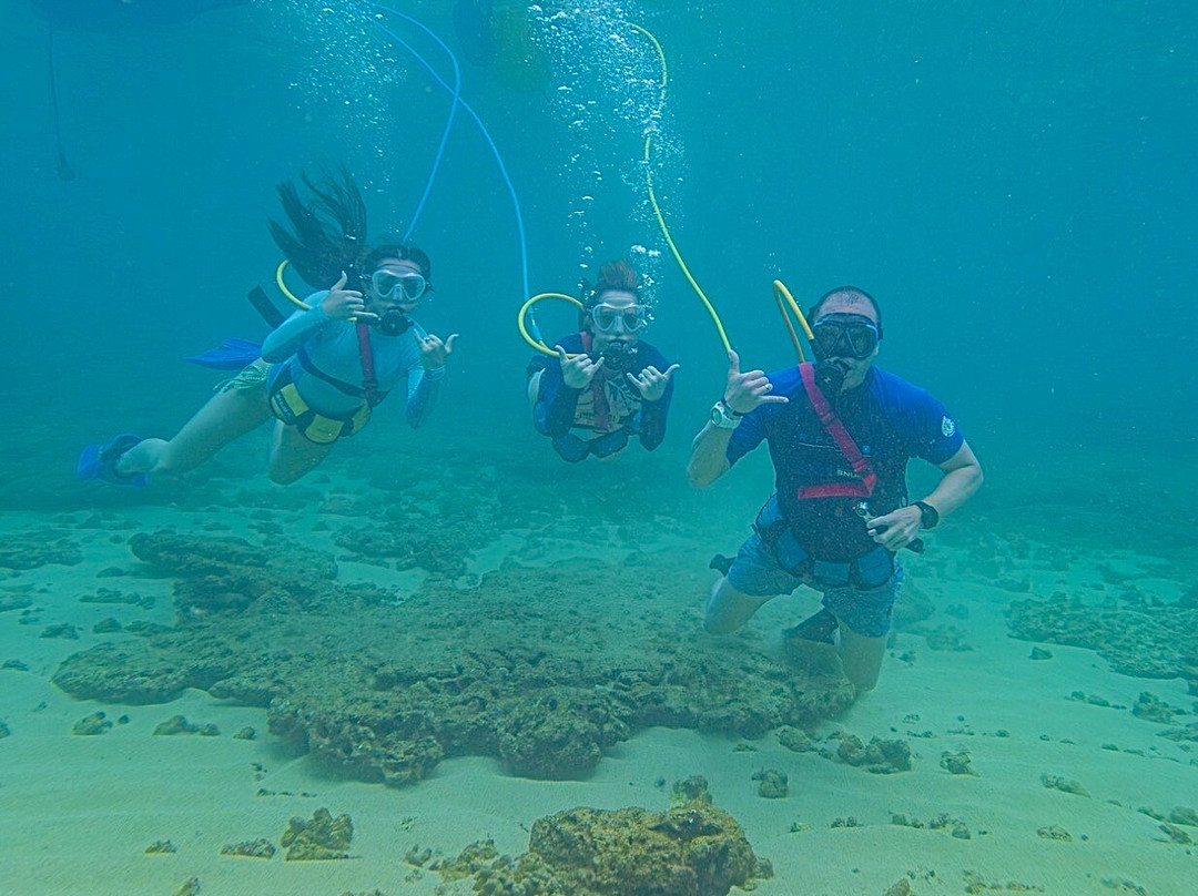 Snuba Tours of Kauai-可洛亚必去景点