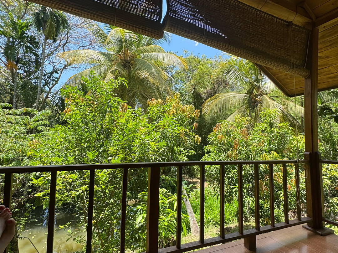 Wild Lake Side Holiday Resort主图