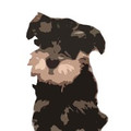 sitcharliesit