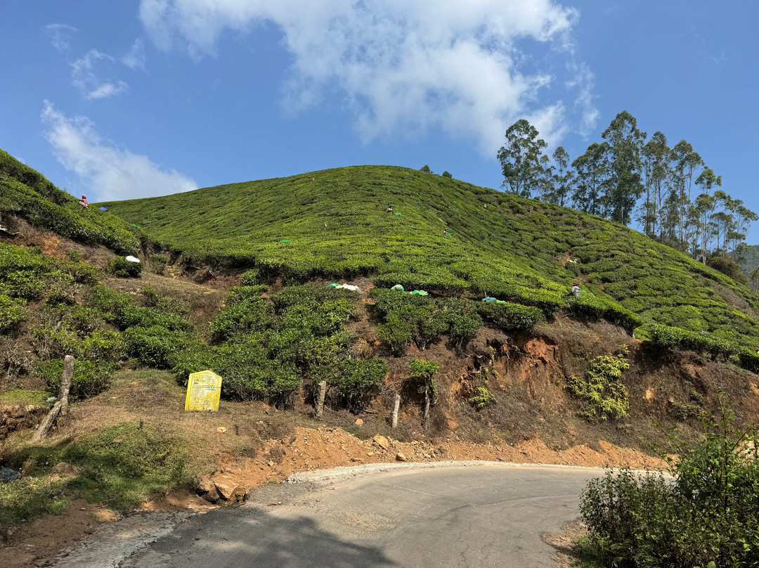 Cycling in India-新德里必去景点