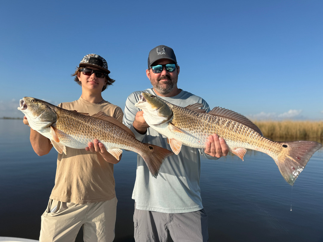 Bayou Charters-Saint Bernard必去景点