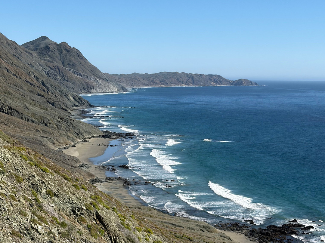 Magdalena Bay Whales-Puerto San Carlos必去景点