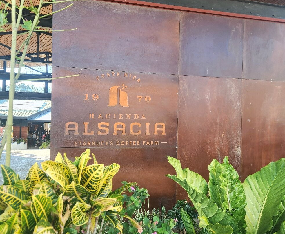 Hacienda Alsacia Starbucks Coffee Farm-Sabanilla必去景点