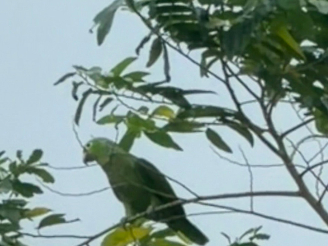 Tierra Latina-布宜诺斯艾利斯必去景点