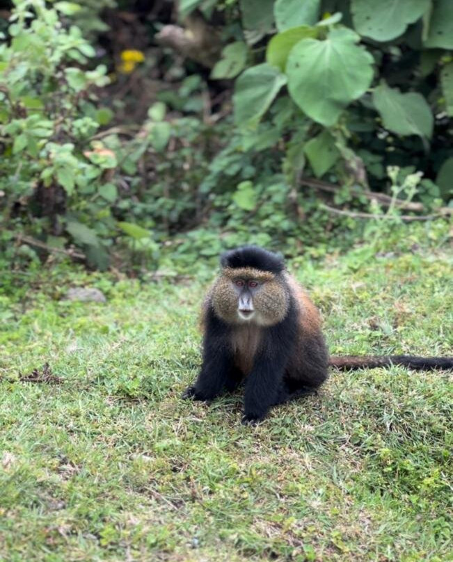 Explore RwandaTours-吉佳利必去景点