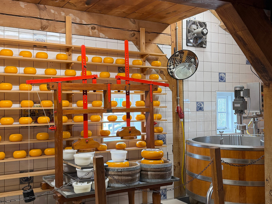 Cherry Travel & Tours-阿姆斯特丹必去景点