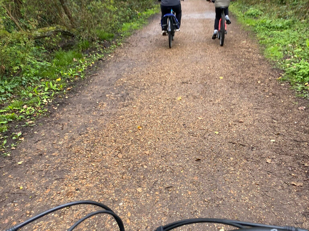 Wight Cycle Hire-雅茅斯必去景点
