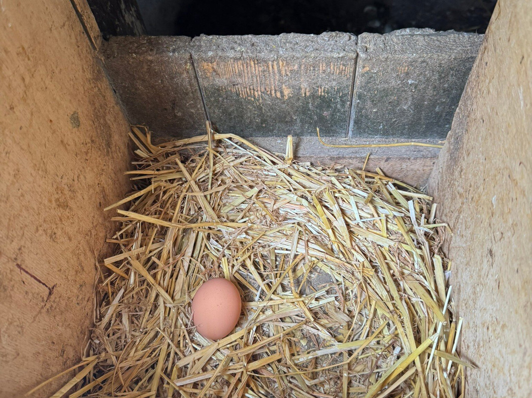 Karaiskos Farm-沃洛斯必去景点