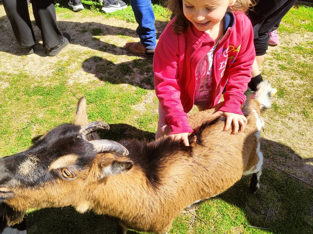 Parque Zoológico Riojanatura-圣多明各德拉卡尔萨达必去景点