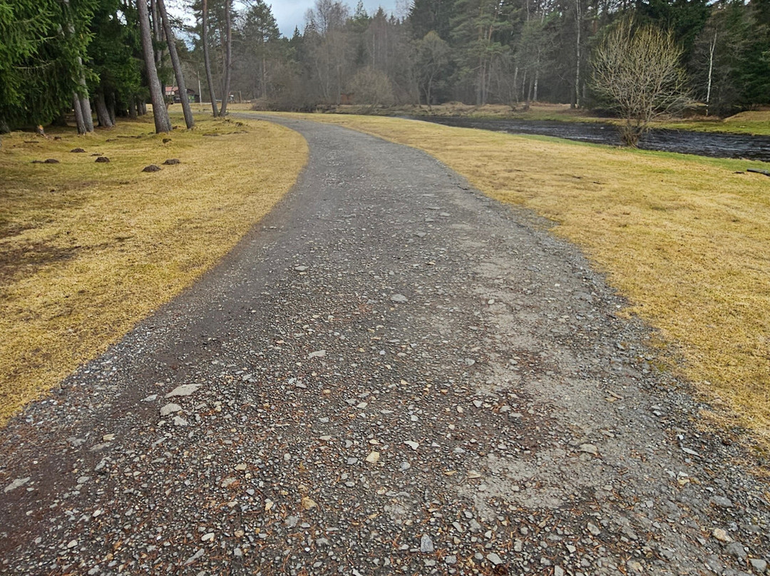 斯内兹纳旅馆主图