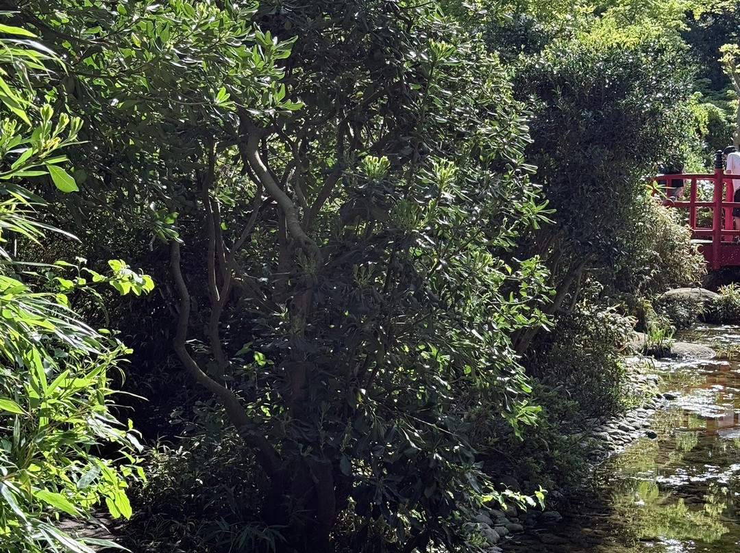 Parc De L'amitié-吕埃—玛尔梅松必去景点