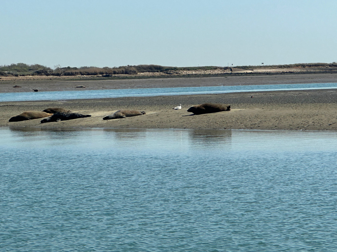 Chichester Harbour Water Tours-West Itchenor必去景点
