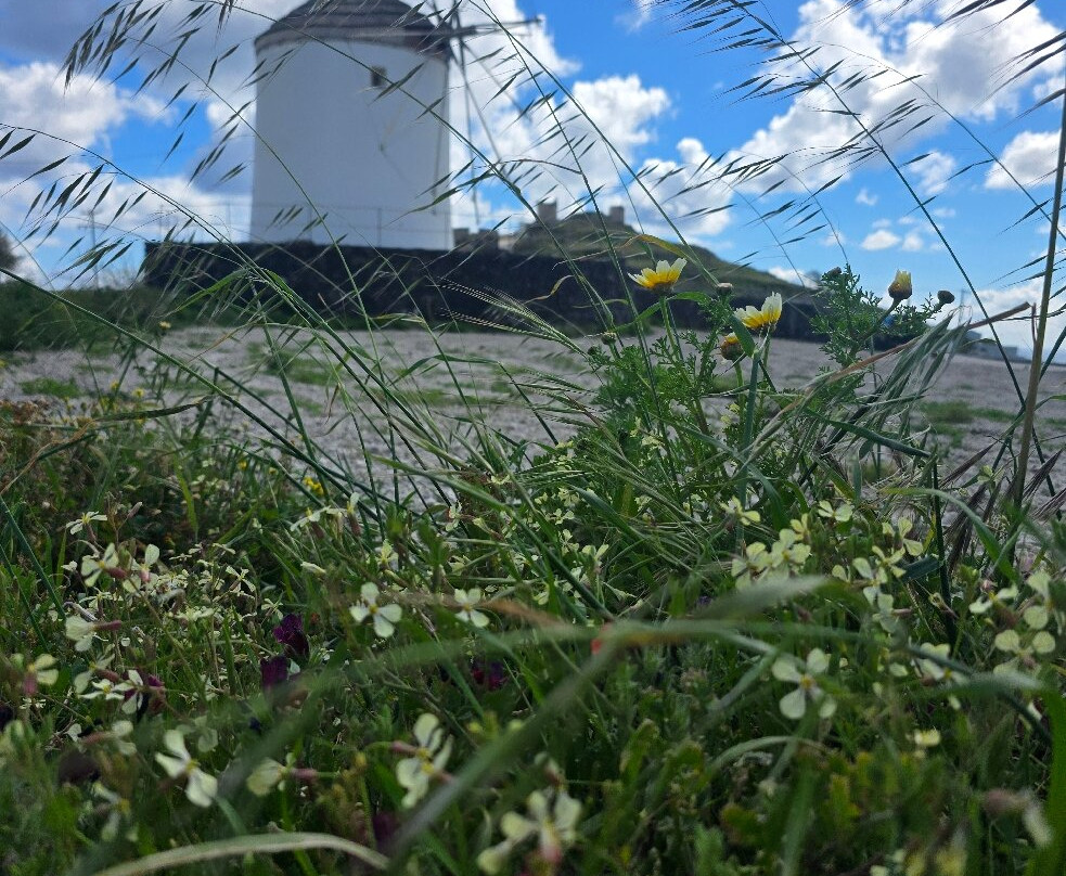 Santo Luxury Escape-Emporio必去景点