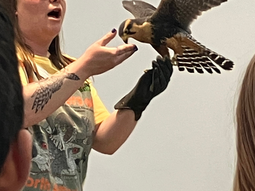 World Center For Birds of Prey-博伊西必去景点