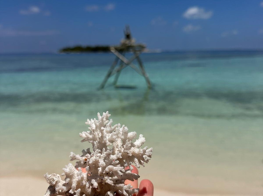 THARI FUSHI MALDIVES -Exciting EXCURSIONS INCLUDED主图