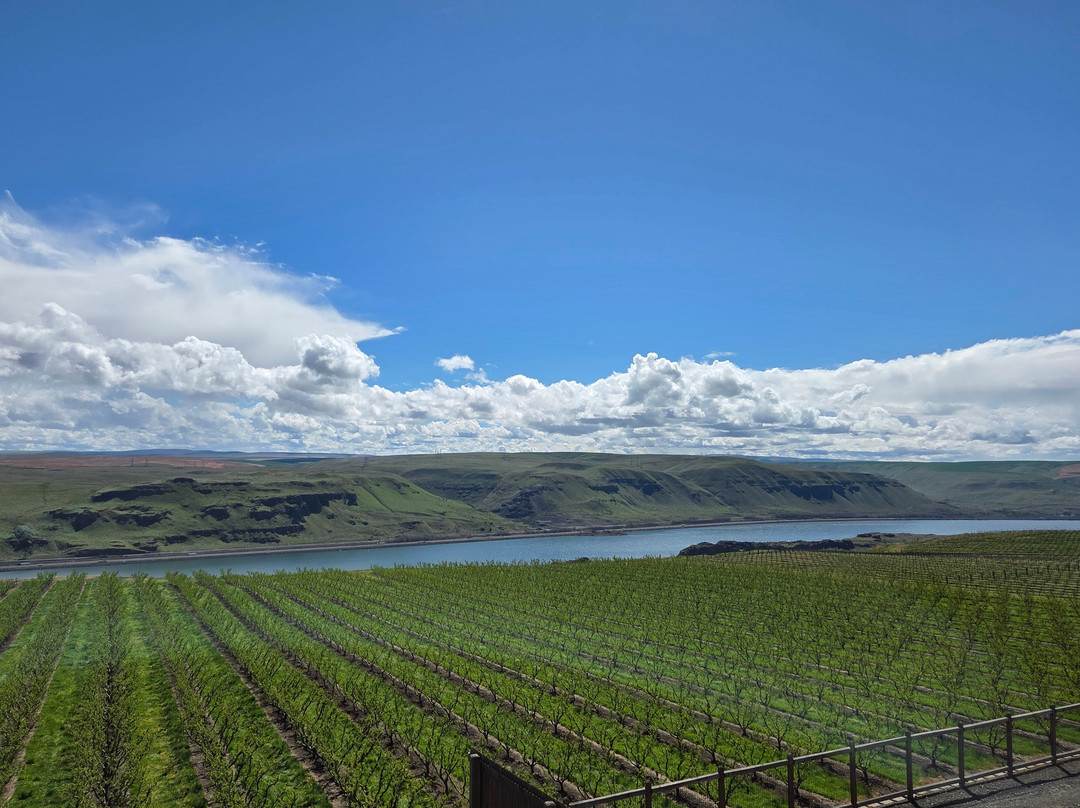 Maryhill Winery-Goldendale必去景点