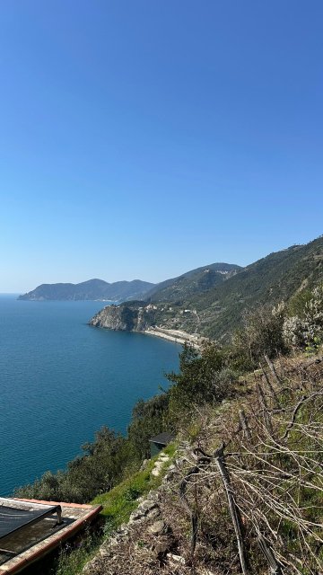 圣乔治住宿酒店-旅行者