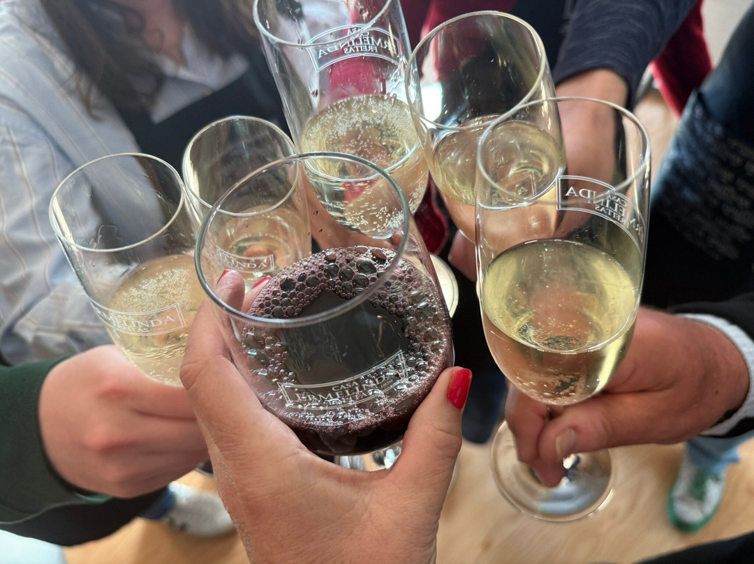 杜金舒梦幻酒店主图