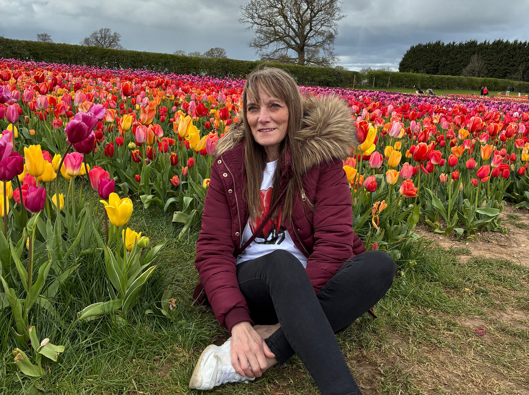 Tulleys Tulip Garden - Warwickshire-沃里克必去景点
