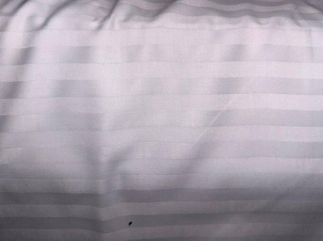 布里斯班北部舒适酒店主图