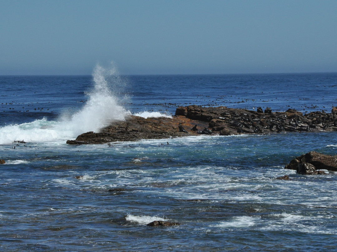 Tash Tours Cape Town-Grassy Park必去景点